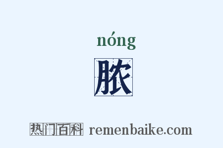 脓是什么意思的图片